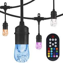 Enbrighten Seasons LED Warm White and Color Changing Café String Lights (24ft.), Wireless, 12 Li ...