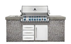 Napoleon Grills Built-in Prestige PRO 665 with Infrared Rear Burner Stainless Steel Natural Gas  ...