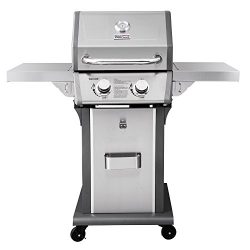 Royal Gourmet 2-Burner Patio Propane Gas Grill (Stainless Steel)