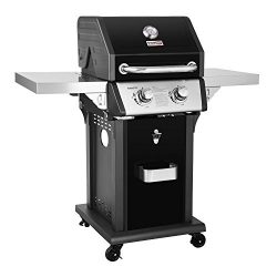 Royal Gourmet 2-Burner Patio Propane Gas Grill