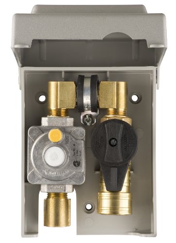 Burnaby Manufacturing G0101-2#-5G-50 Gas Plug 2-Gas Outlet Box with 1/2-Inch Inlet and 3/8-Inch  ...