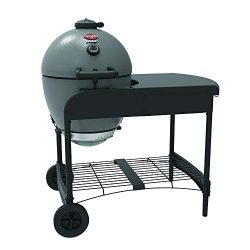 Char-Griller E6520 AKORN Kamado Cart Charcoal Grill, 22″, Ash